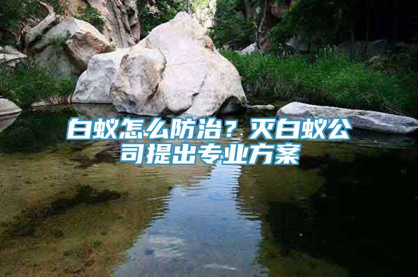 白蟻怎么防治？滅白蟻公司提出專(zhuān)業(yè)方案