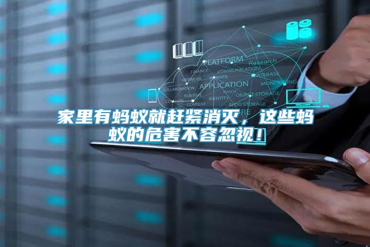 家里有螞蟻就趕緊消滅，這些螞蟻的危害不容忽視！