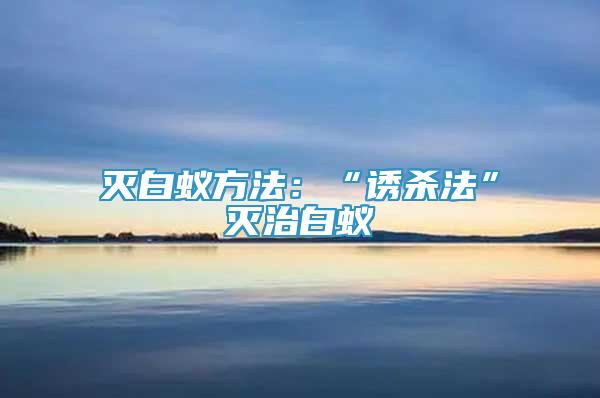 滅白蟻方法：“誘殺法”滅治白蟻