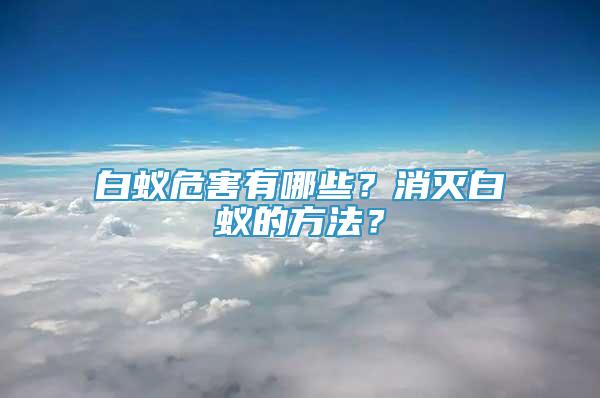 白蟻危害有哪些？消滅白蟻的方法？