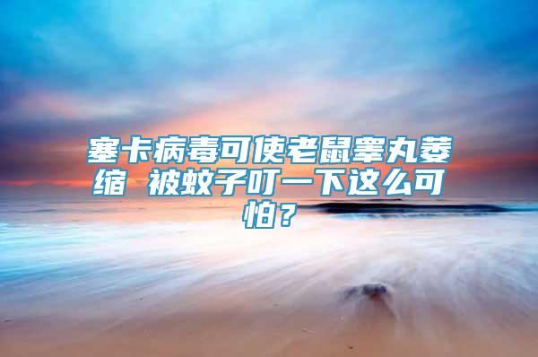 塞卡病毒可使老鼠睪丸萎縮 被蚊子叮一下這么可怕？