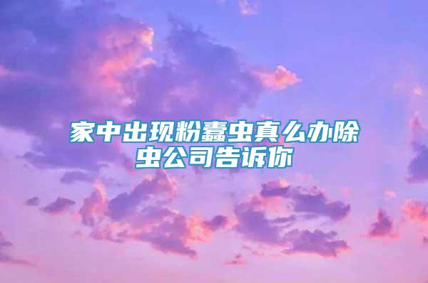 家中出現(xiàn)粉蠹蟲真么辦除蟲公司告訴你