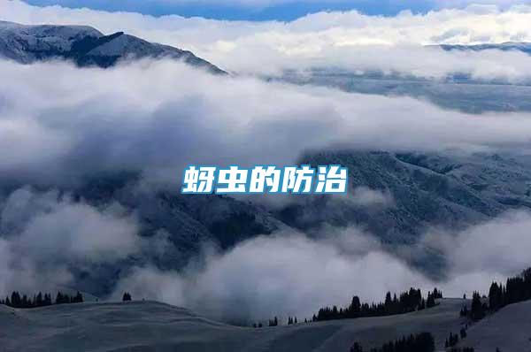 蚜蟲的防治