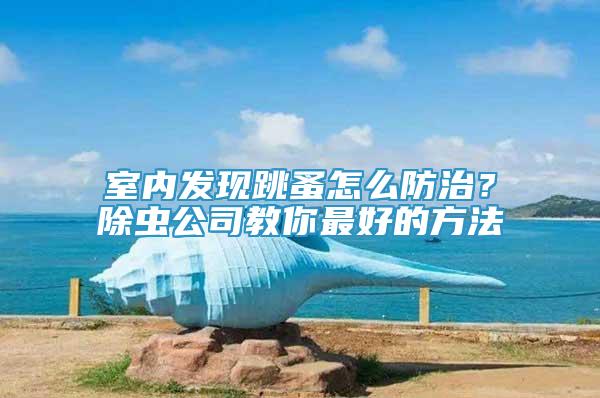 室內(nèi)發(fā)現(xiàn)跳蚤怎么防治？除蟲公司教你最好的方法