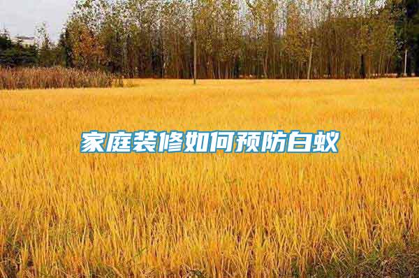 家庭裝修如何預(yù)防白蟻