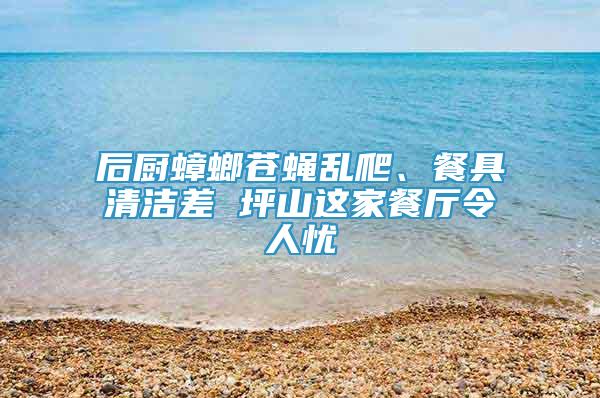 后廚蟑螂蒼蠅亂爬、餐具清潔差 坪山這家餐廳令人憂