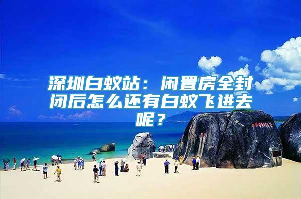 深圳白蟻站：閑置房全封閉后怎么還有白蟻飛進去呢？