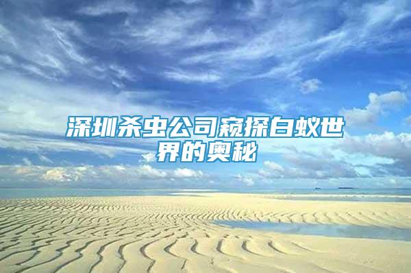 深圳殺蟲公司窺探白蟻世界的奧秘
