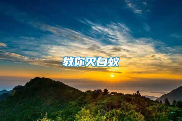 教你滅白蟻
