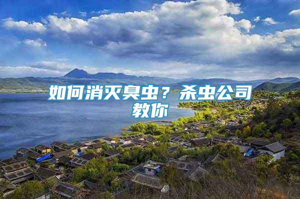 如何消滅臭蟲？殺蟲公司教你