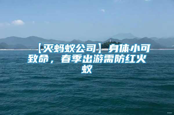【滅螞蟻公司】身體小可致命，春季出游需防紅火蟻