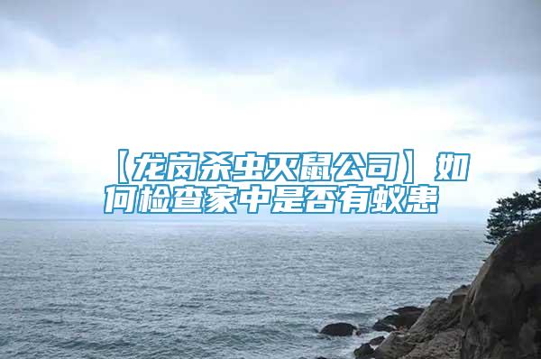 【龍崗殺蟲滅鼠公司】如何檢查家中是否有蟻患