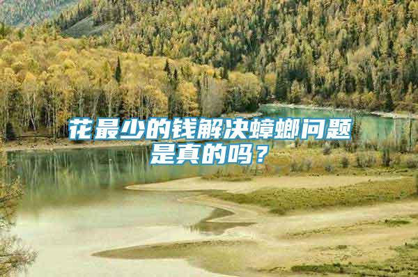 花最少的錢解決蟑螂問題是真的嗎？