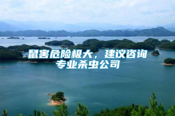 鼠害危險極大，建議咨詢專業(yè)殺蟲公司