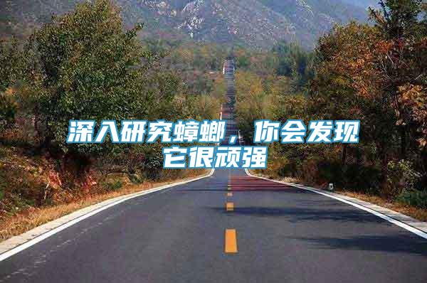 深入研究蟑螂，你會發(fā)現(xiàn)它很頑強(qiáng)