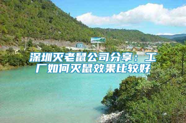 深圳滅老鼠公司分享：工廠如何滅鼠效果比較好