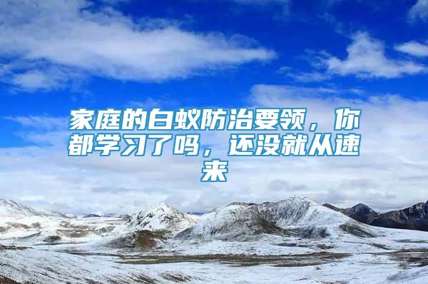家庭的白蟻防治要領，你都學習了嗎，還沒就從速來