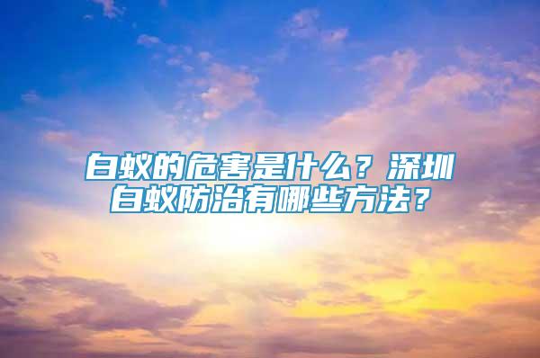 白蟻的危害是什么？深圳白蟻防治有哪些方法？