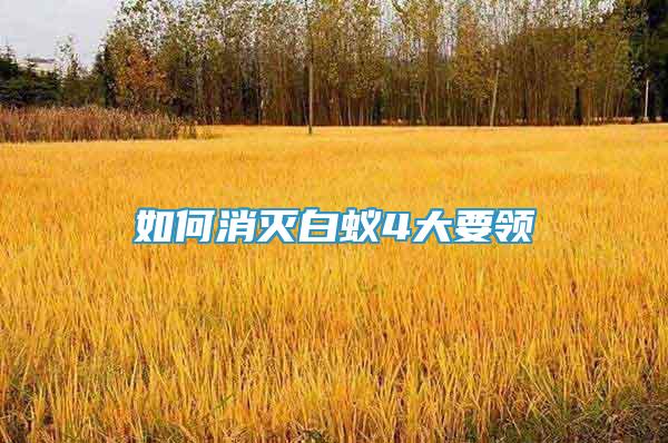 如何消滅白蟻4大要領(lǐng)