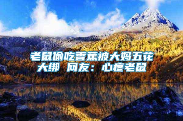 老鼠偷吃香蕉被大媽五花大綁 網(wǎng)友：心疼老鼠