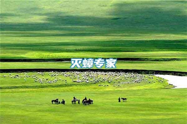 滅蟑專家