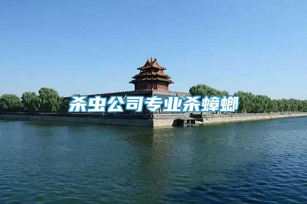 殺蟲公司專業(yè)殺蟑螂