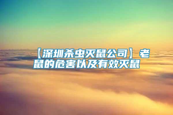 【深圳殺蟲滅鼠公司】老鼠的危害以及有效滅鼠
