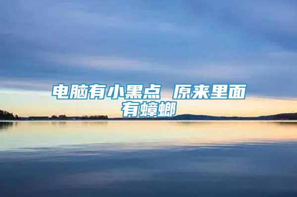 電腦有小黑點 原來里面有蟑螂