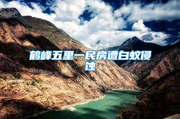 鶴峰五里一民房遭白蟻侵蝕