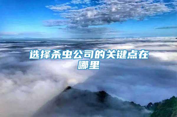 選擇殺蟲公司的關(guān)鍵點(diǎn)在哪里
