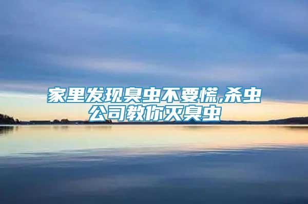 家里發(fā)現(xiàn)臭蟲不要慌,殺蟲公司教你滅臭蟲