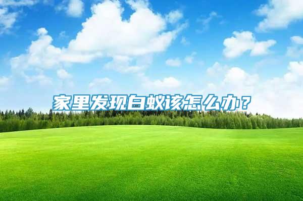 家里發(fā)現(xiàn)白蟻該怎么辦？