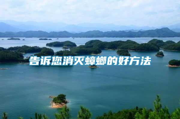 告訴您消滅蟑螂的好方法