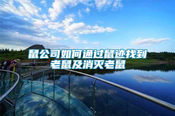 鼠公司如何通過鼠跡找到老鼠及消滅老鼠