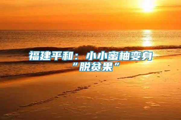 福建平和：小小蜜柚變身“脫貧果”
