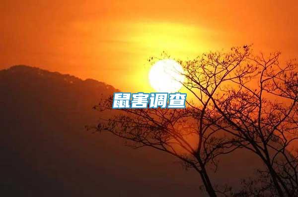 鼠害調(diào)查
