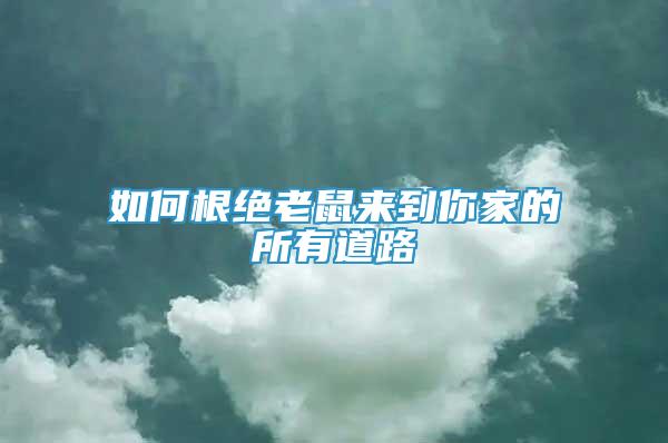如何根絕老鼠來到你家的所有道路