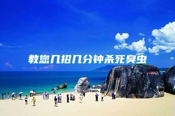 教您幾招幾分鐘殺死臭蟲