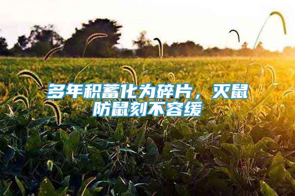 多年積蓄化為碎片，滅鼠防鼠刻不容緩