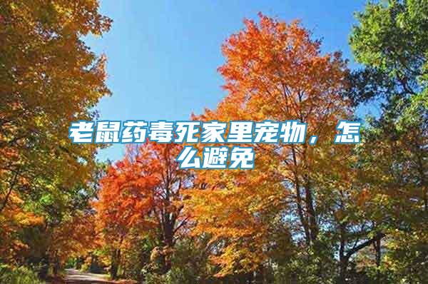 老鼠藥毒死家里寵物，怎么避免