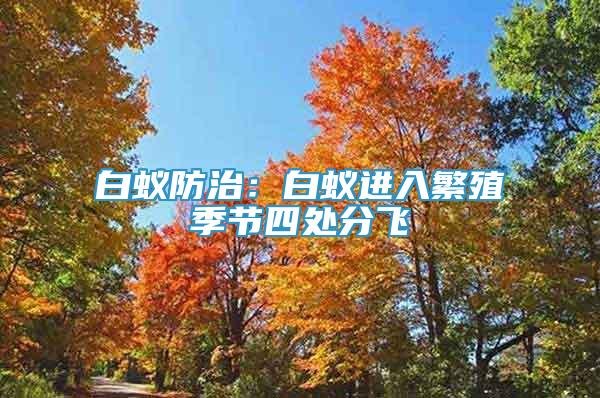 白蟻防治：白蟻進(jìn)入繁殖季節(jié)四處分飛