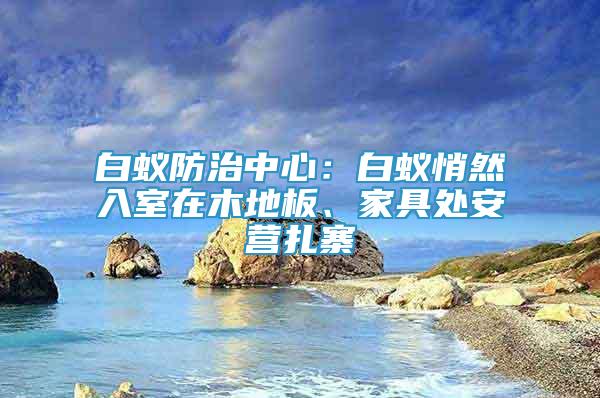 白蟻防治中心：白蟻悄然入室在木地板、家具處安營扎寨