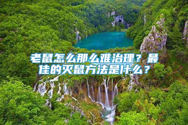 老鼠怎么那么難治理？最佳的滅鼠方法是什么？