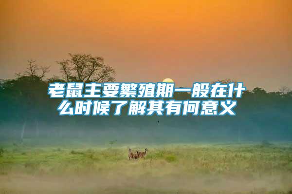 老鼠主要繁殖期一般在什么時(shí)候了解其有何意義