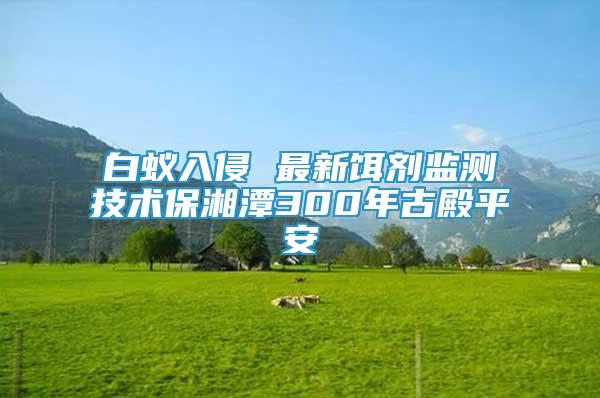 白蟻入侵 最新餌劑監(jiān)測(cè)技術(shù)保湘潭300年古殿平安
