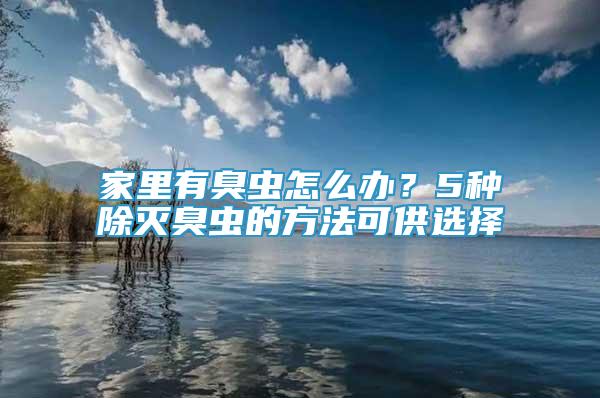 家里有臭蟲(chóng)怎么辦？5種除滅臭蟲(chóng)的方法可供選擇
