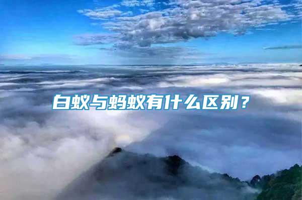 白蟻與螞蟻有什么區(qū)別？