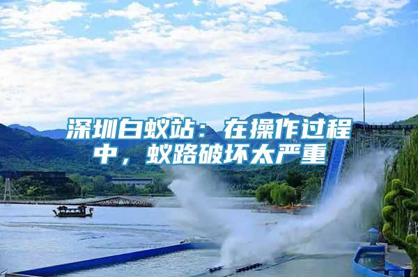 深圳白蟻站：在操作過(guò)程中，蟻路破壞太嚴(yán)重