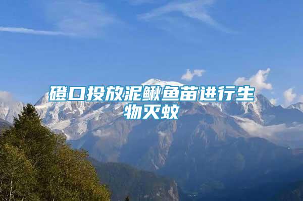 磴口投放泥鰍魚苗進(jìn)行生物滅蚊