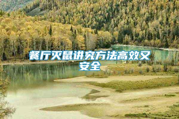 餐廳滅鼠講究方法高效又安全